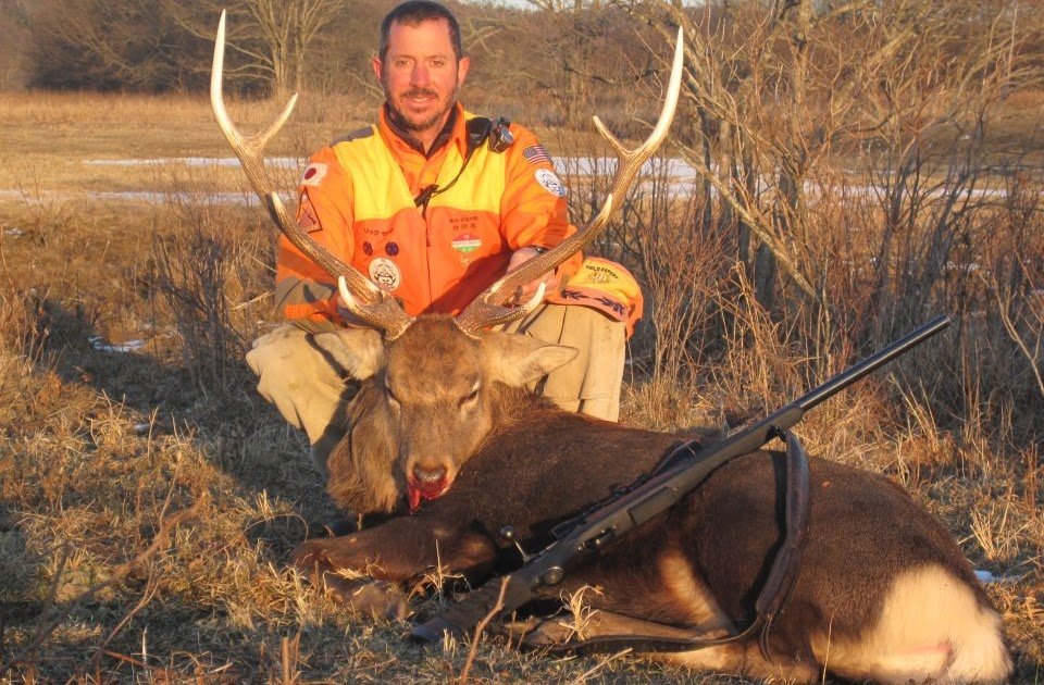 🦌 사슴 공원 (시카 코엔)